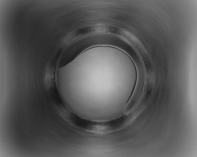 X0000090430360200707131205