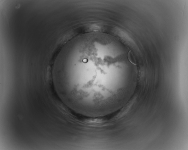X0000090430361200707131205
