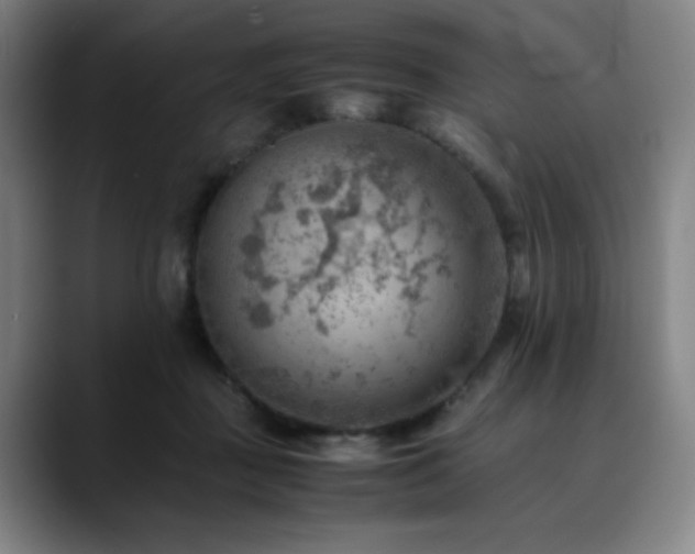 X0000090430363200707131205