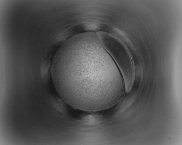 X0000090430364200707131205
