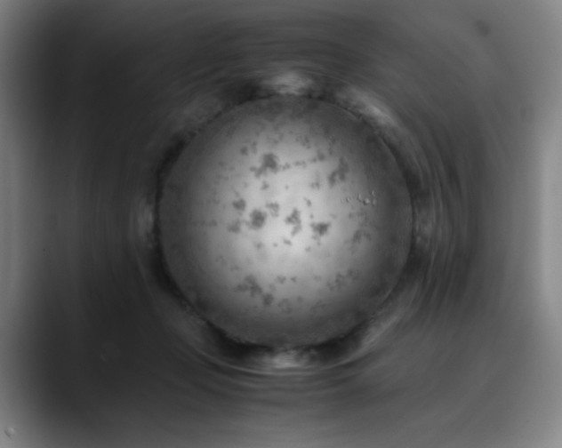 X0000090430365200707131205