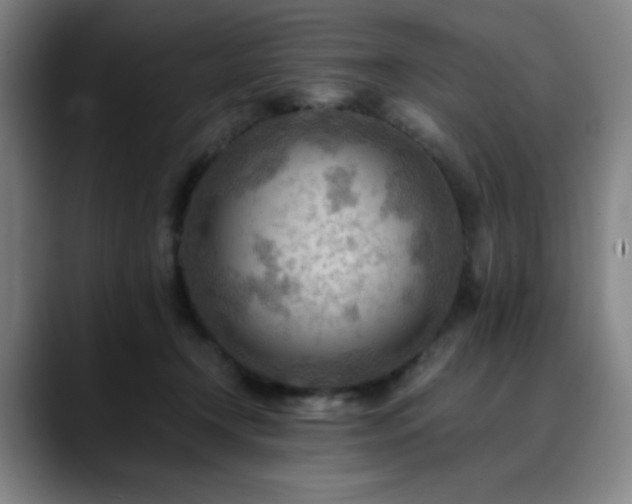 X0000090430366200707131205