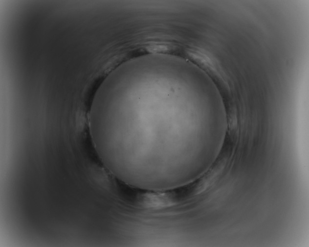 X0000090430367200707131205