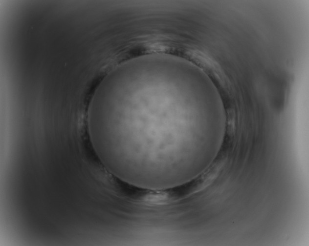 X0000090430369200707131205
