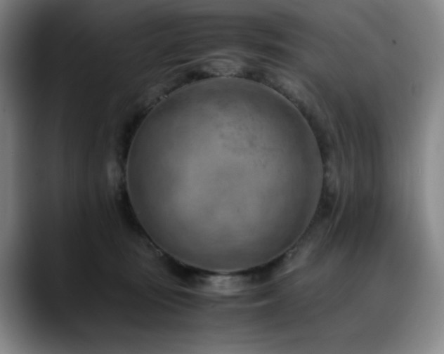 X0000090430371200707131205