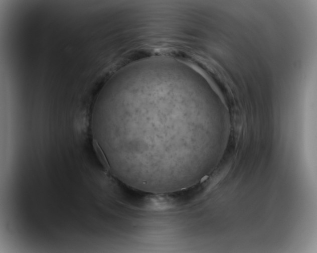 X0000090430372200707131205