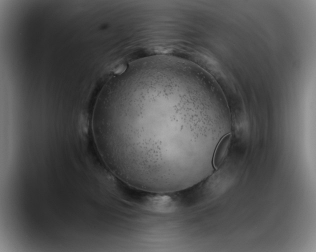 X0000090430374200707131205