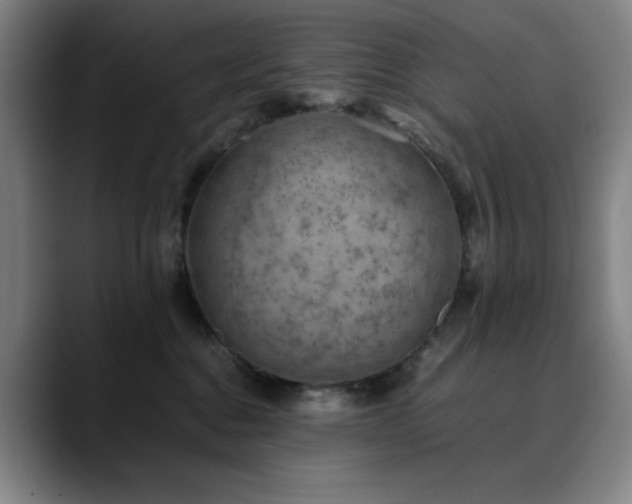 X0000090430376200707131205