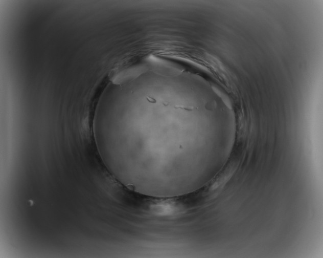 X0000090430377200707131205