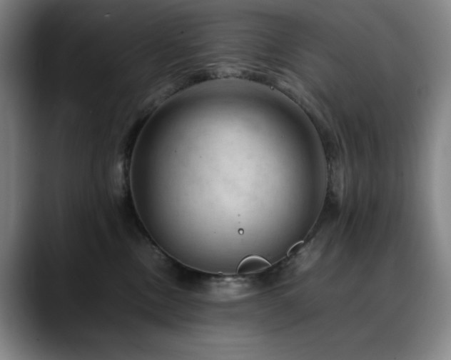 X0000090430378200707131205