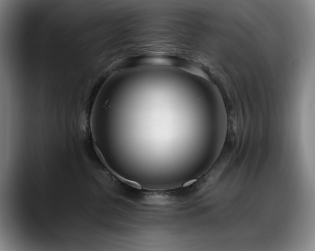 X0000090430380200707131205