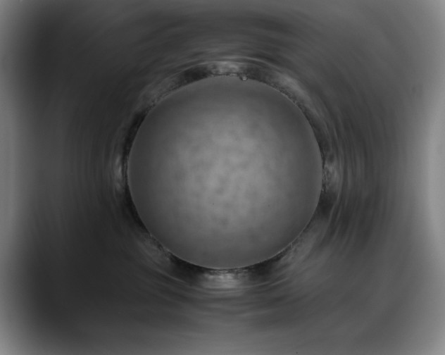 X0000090430381200707131205