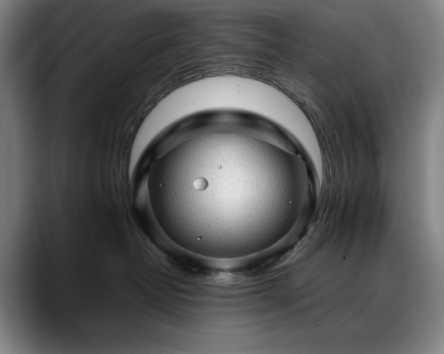X0000090430382200707131205