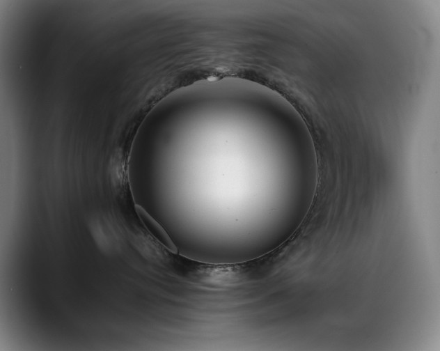 X0000090430384200707131205