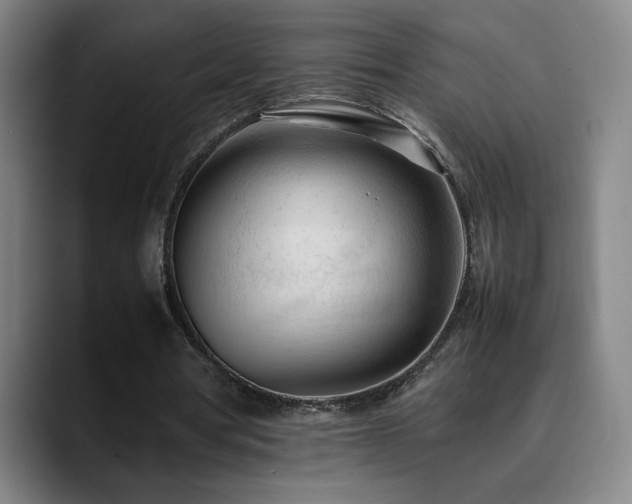 X0000090430386200707131205
