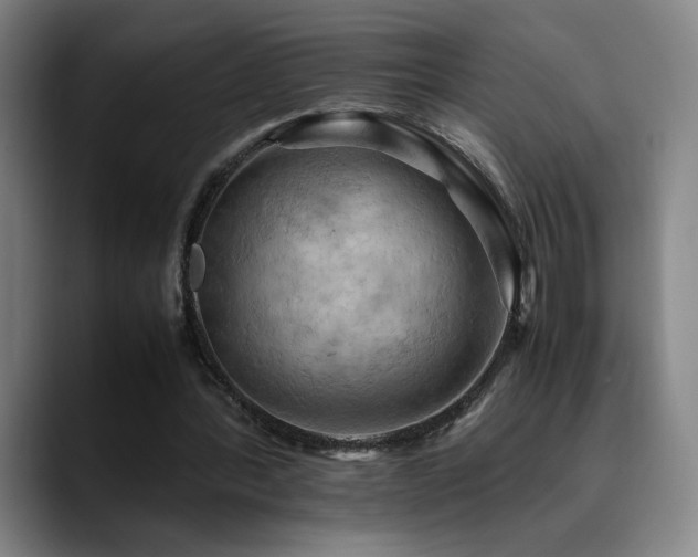 X0000090430388200707131205