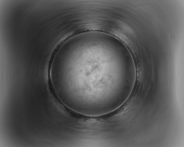 X0000090430390200707131205