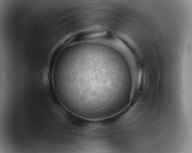 X0000090430392200707131205