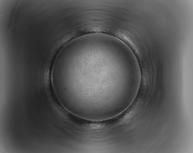 X0000090430394200707131205