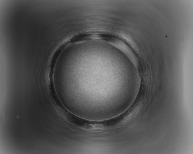 X0000090430395200707131205