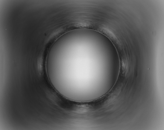X0000090430396200707131205