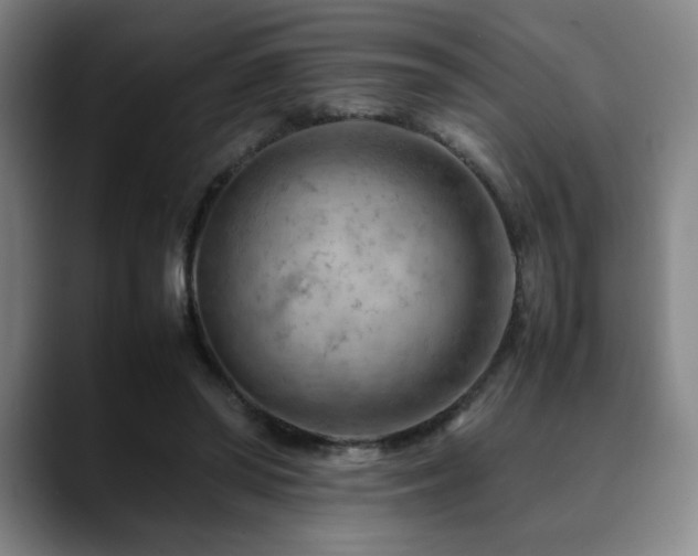 X0000090430398200707131205