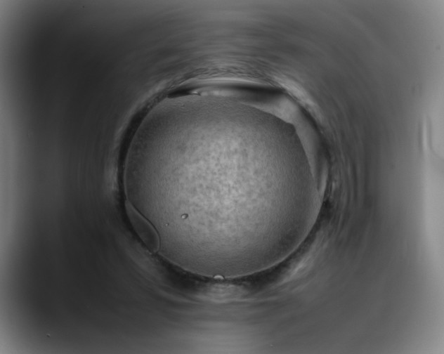 X0000090430399200707131205