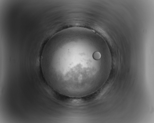 X0000090430401200707131205