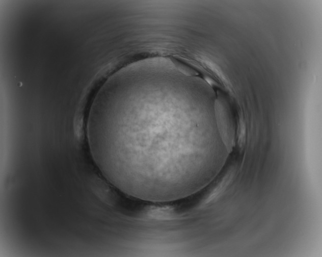 X0000090430403200707131205