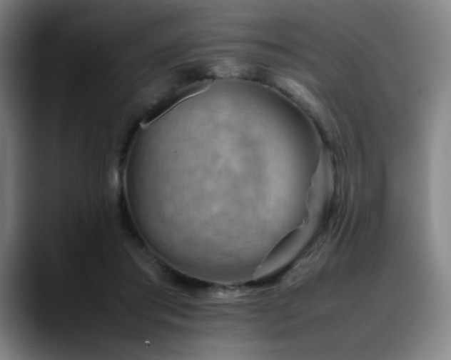 X0000090430405200707131205