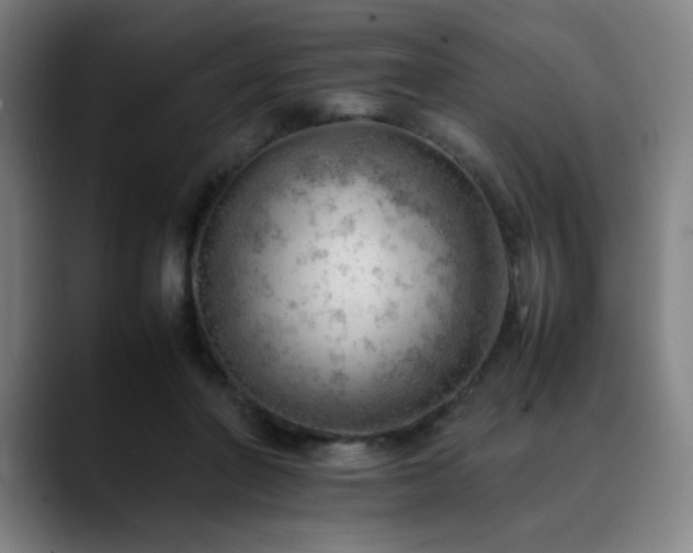 X0000090430406200707131205