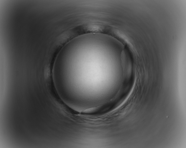 X0000090430407200707131205