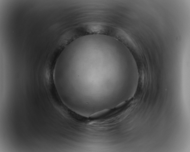 X0000090430408200707131205