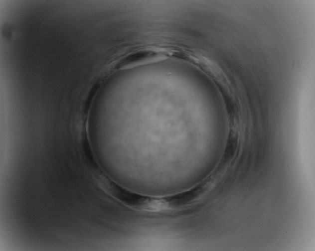 X0000090430409200707131205