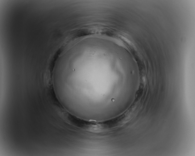 X0000090430411200707131205