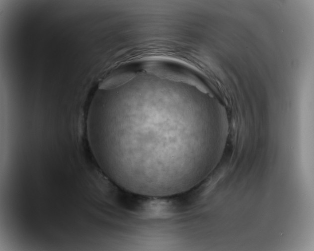 X0000090430413200707131205