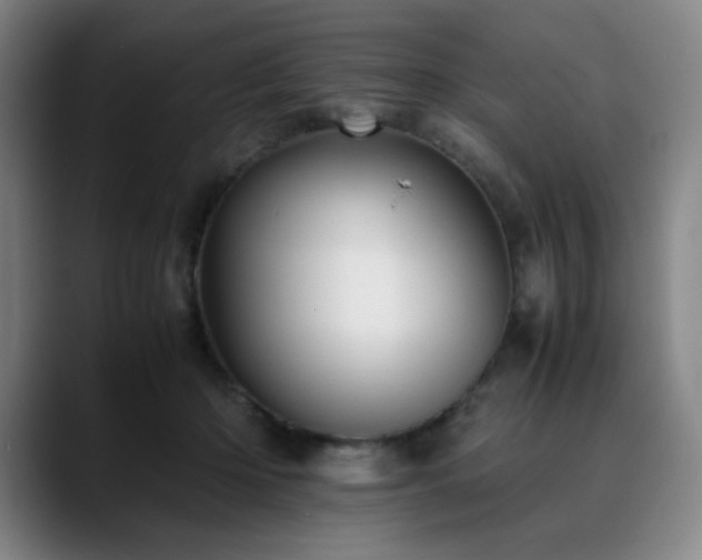 X0000090430414200707131205
