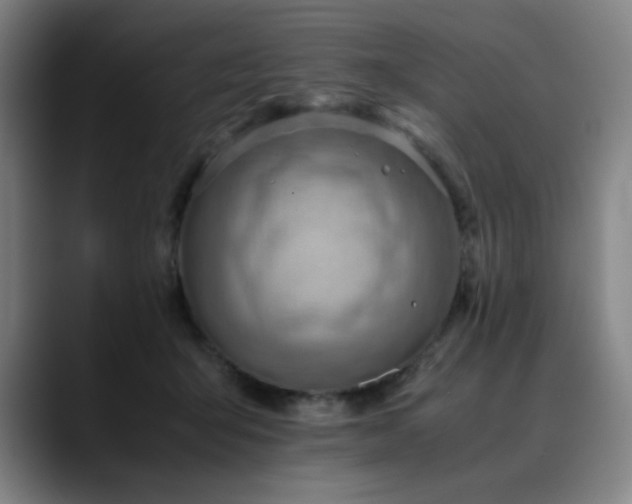 X0000090430415200707131205