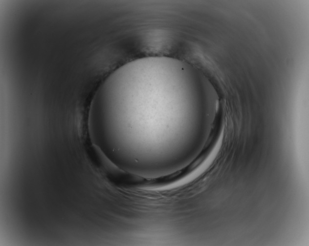 X0000090430416200707131205