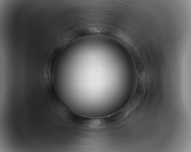 X0000090430418200707131205