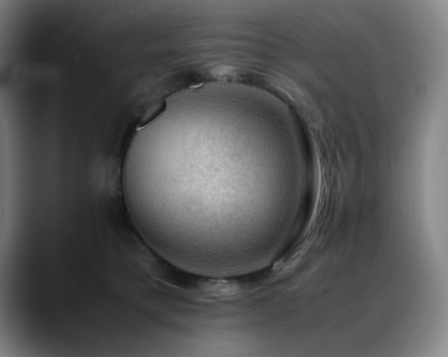 X0000090430421200707131205