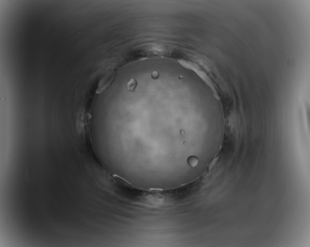 X0000090430423200707131204