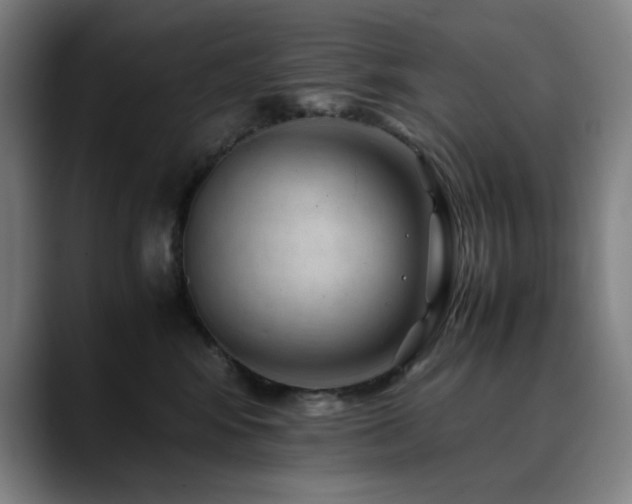 X0000090430424200707131204