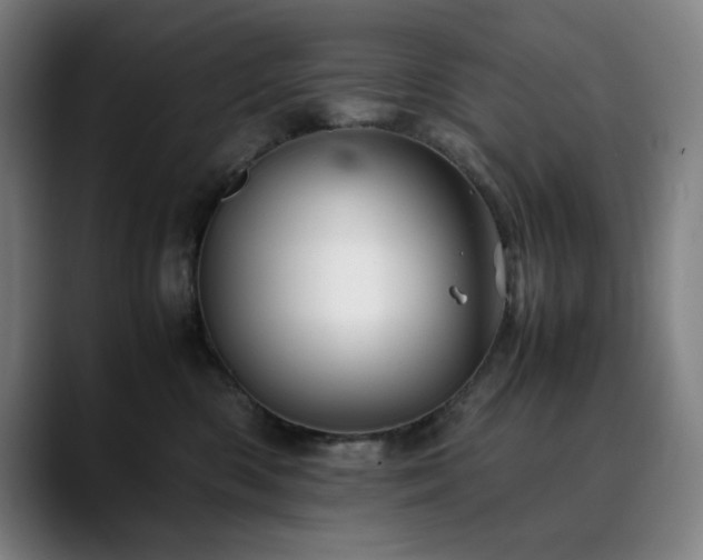 X0000090430426200707131204