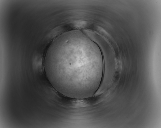 X0000090430428200707131204