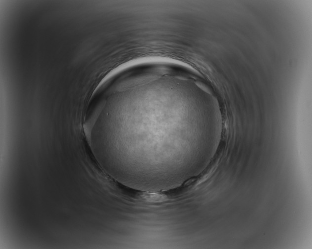 X0000090430429200707131204