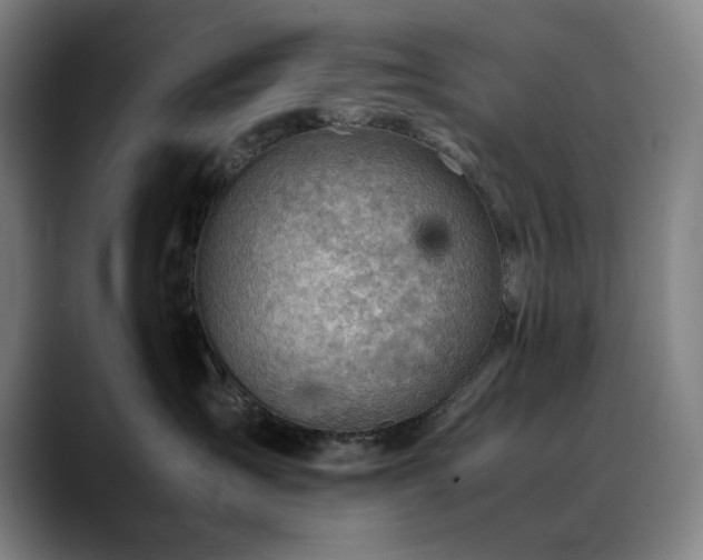 X0000090430431200707131204