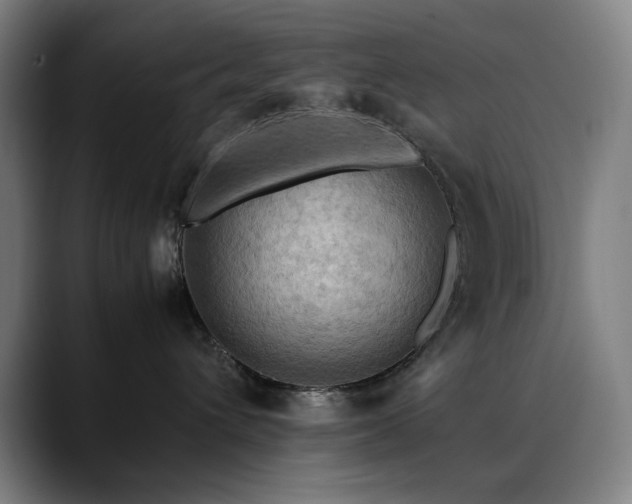 X0000090430432200707131204