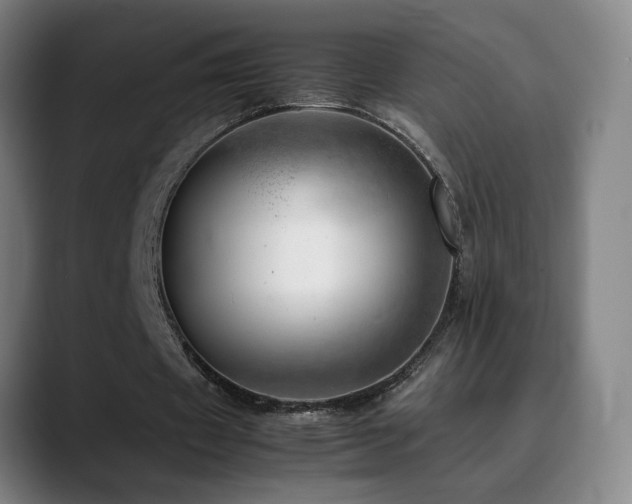X0000090430433200707131204