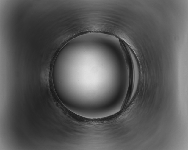 X0000090430434200707131204